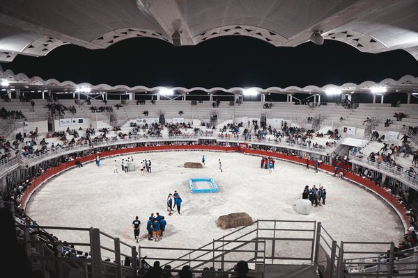 Billets de saison de basket : avantages et inconvénients